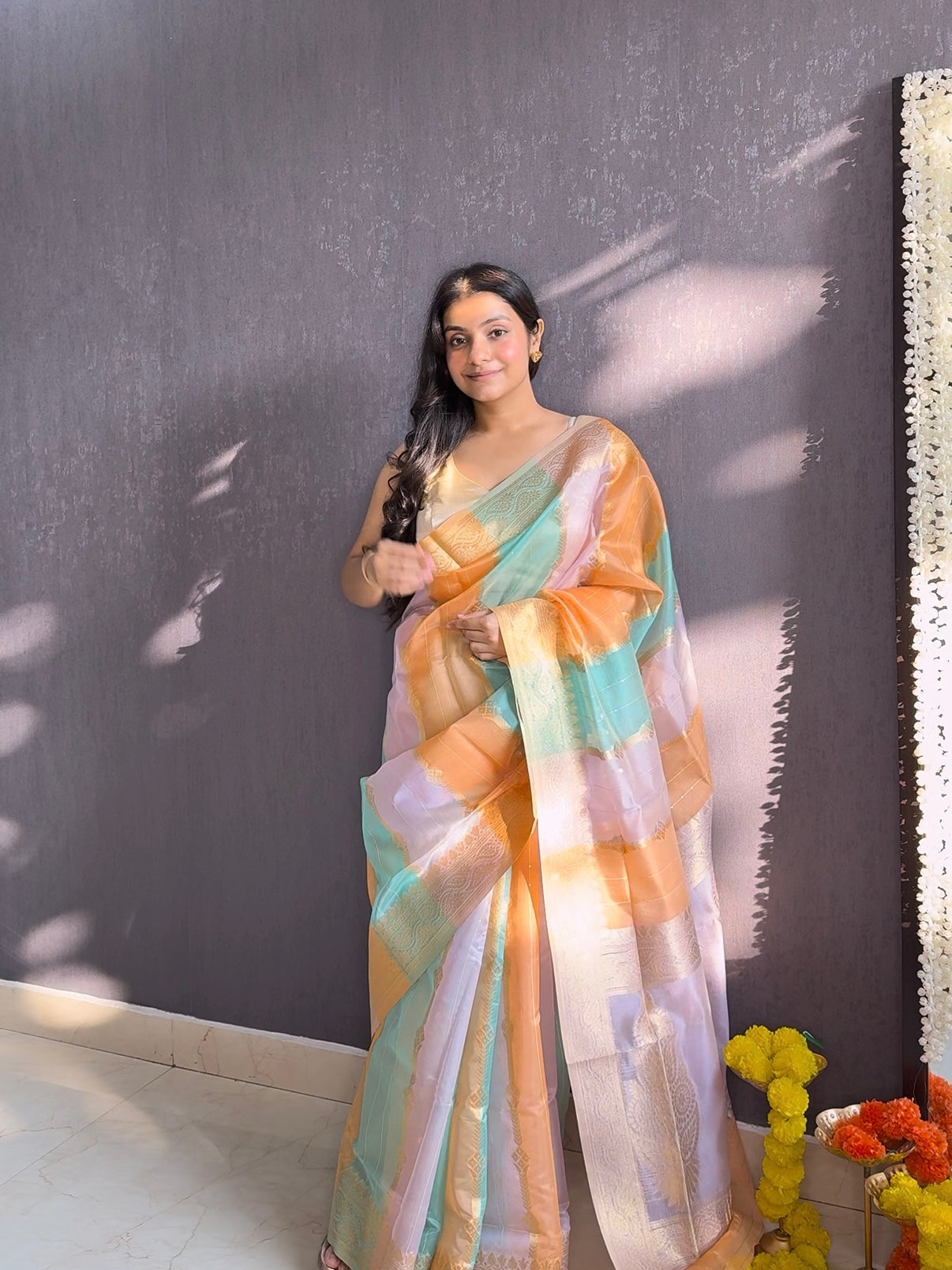 Organzas sequins saree