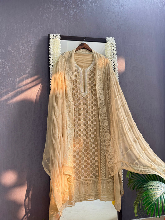 Lucknowi crystal handwork suit