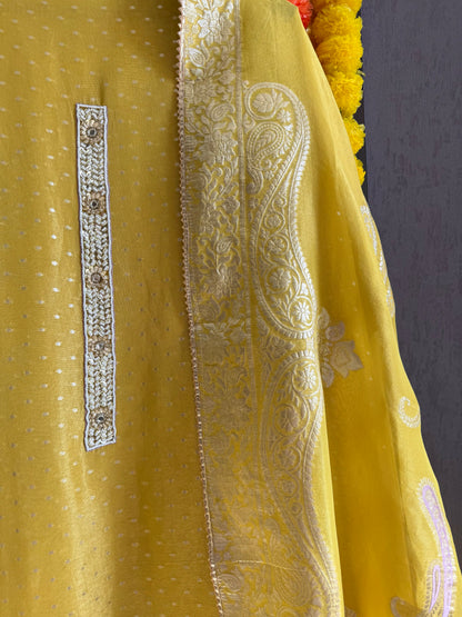 Luxurious handwork Tissue Benarsi silk suit