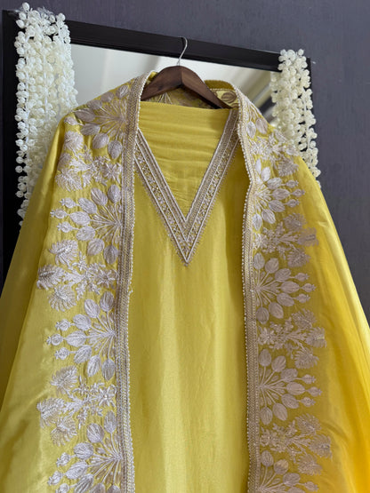 Luxurious Aari work handwork suit