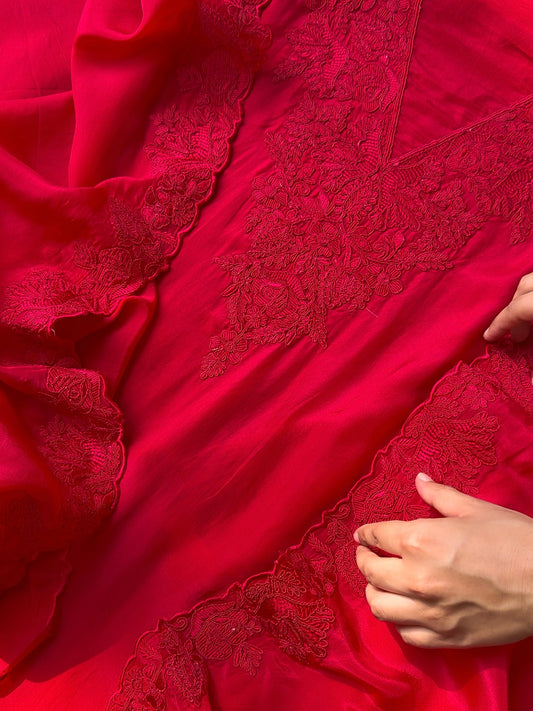 Luxurious aari work organza suit