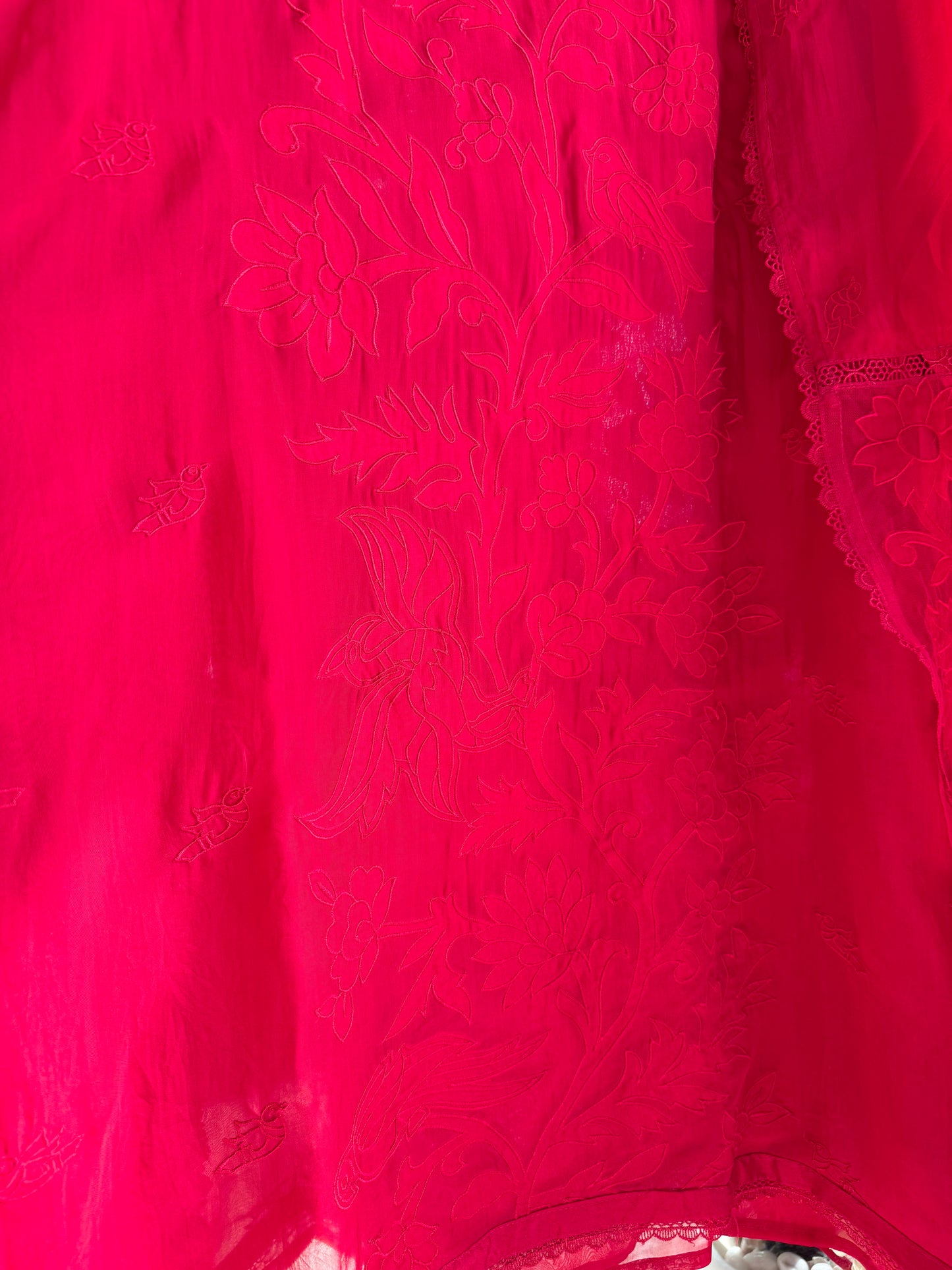 Luxurious organza appliqué work birds suit