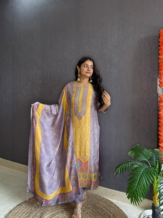 Meenakari Benarsi Handwork suit set