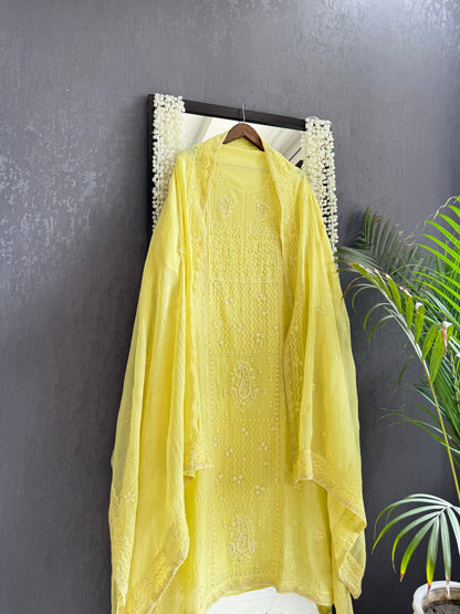 Luxurious Mul chanderi lucknowi paisley suit