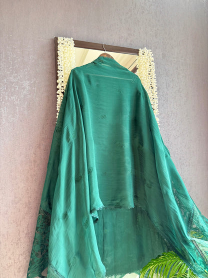 Luxurious organza appliqué work birds suit