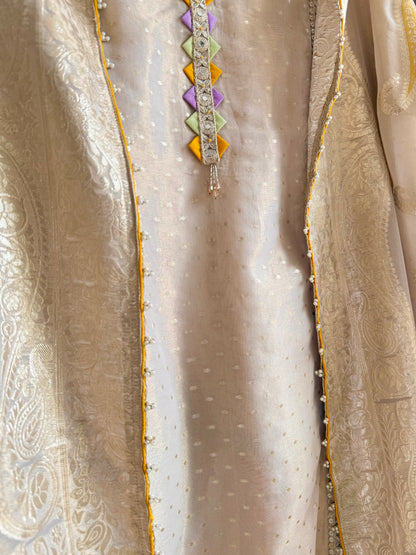 Luxurious aari work Tissue Benarsi silk suit