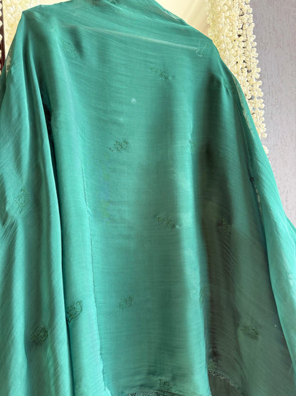 Luxurious organza appliqué work birds suit