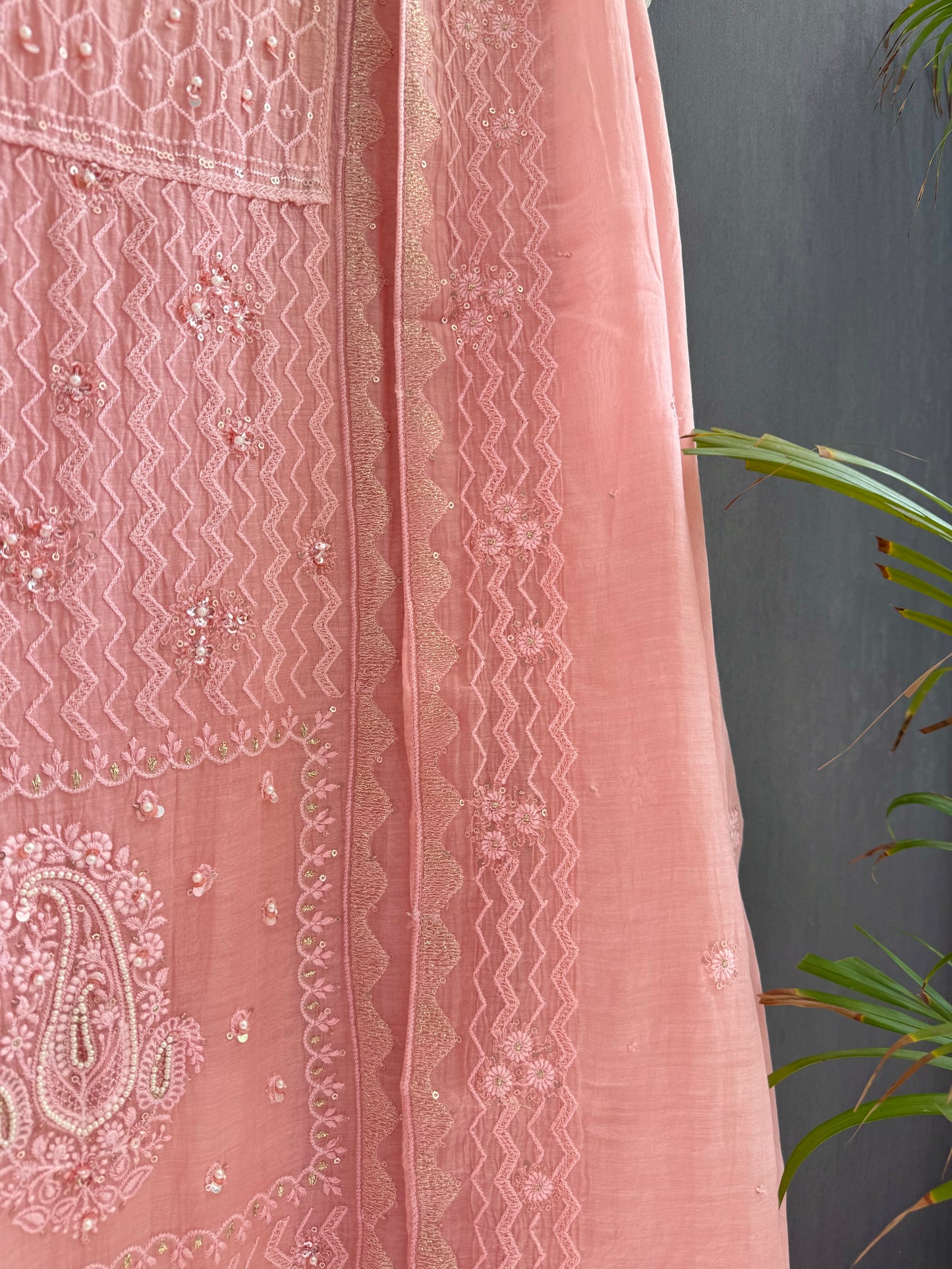 Luxurious Mul chanderi lucknowi paisley suit